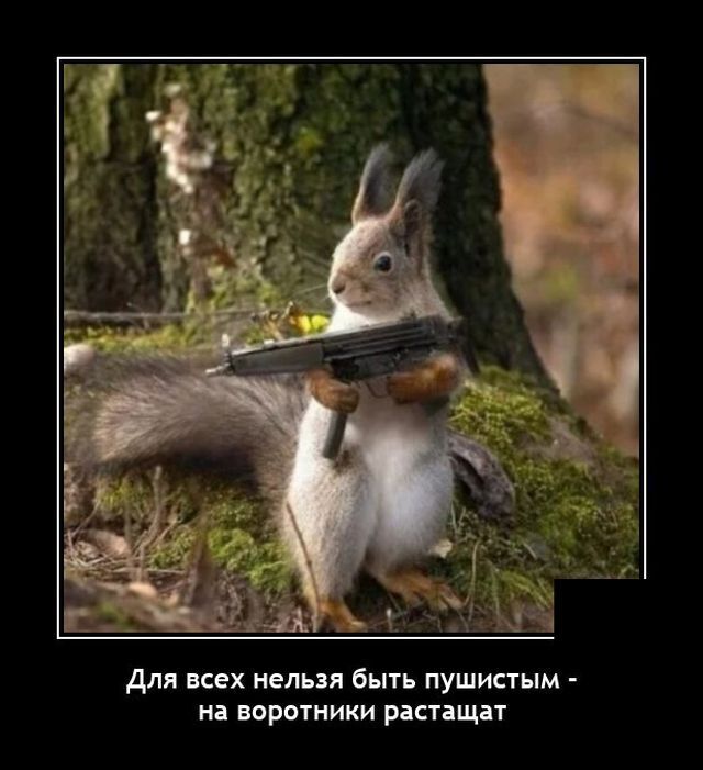 Весёлые картинки (часть 43)