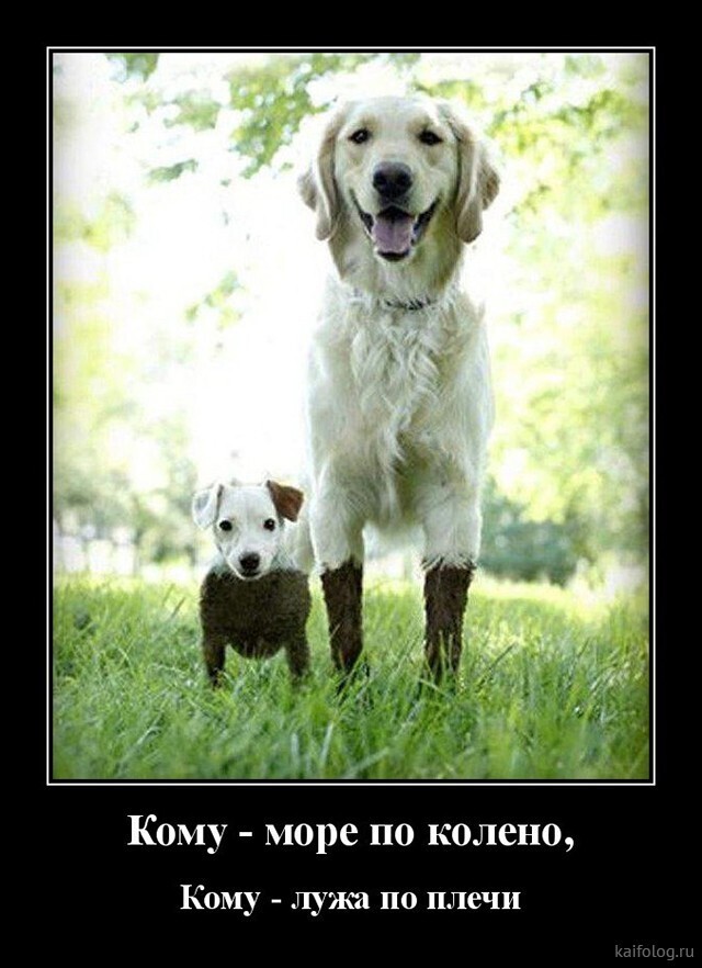 Весёлые картинки (часть 43)