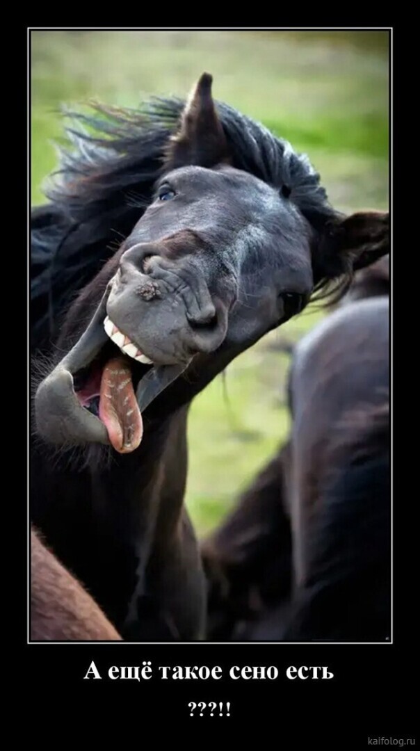 Весёлые картинки (часть 43)