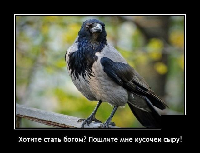 Весёлые картинки (часть 43)