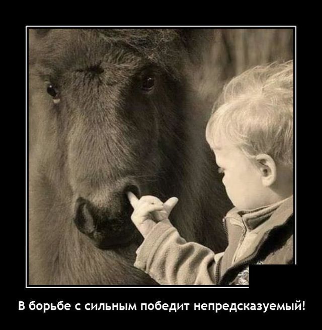 Весёлые картинки (часть 43)