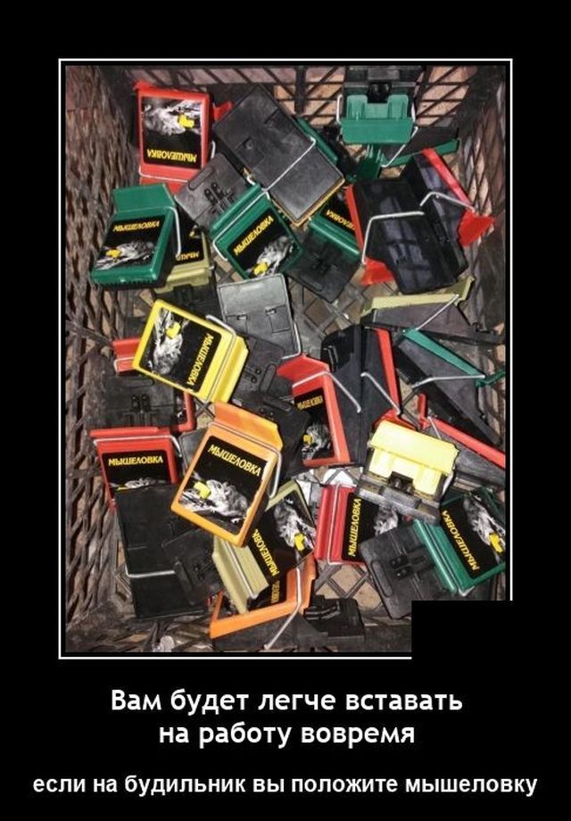 Весёлые картинки (часть 43)