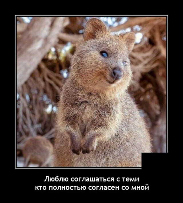 Весёлые картинки (часть 43)