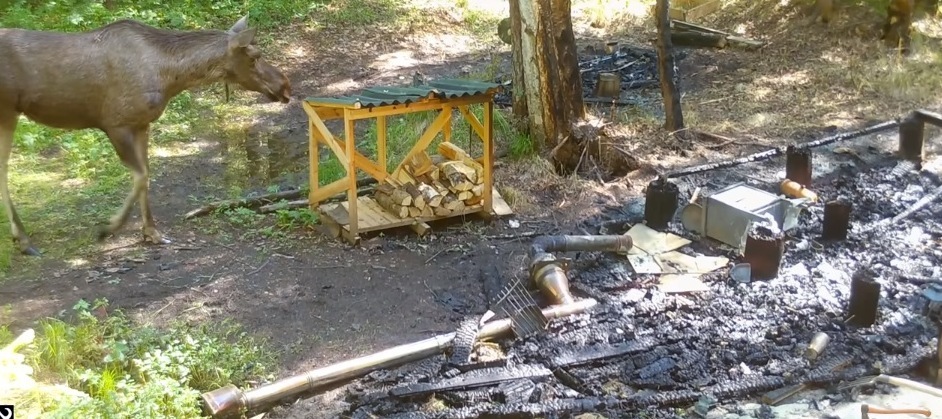Сожгли дом(избу/заимку) в лесу. Что делать?