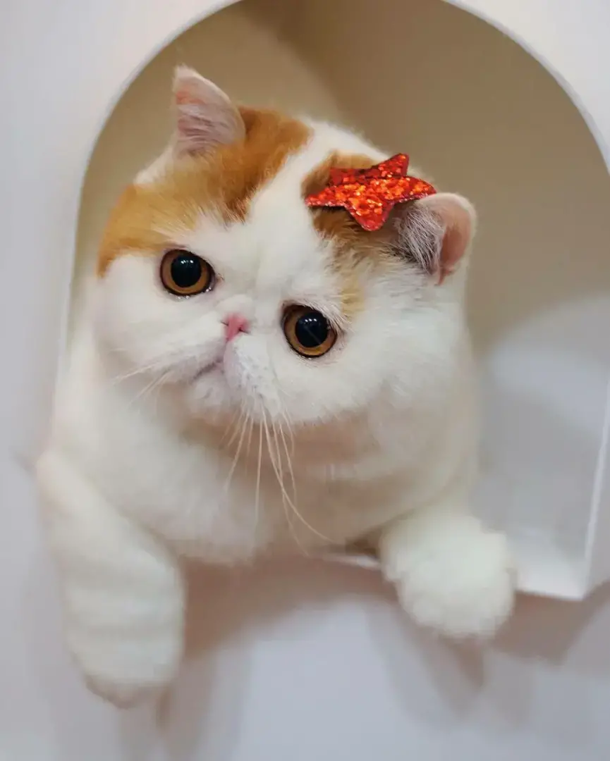 Стать риелтором может каждый. Развод или правда?