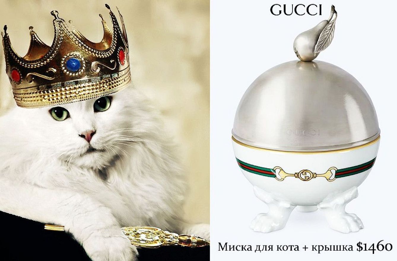 Шизофрения: миска для кошки за 30 000 рублей и крышкой за 47 000! А вы бы купили?