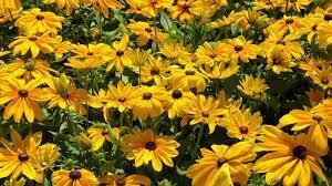 Жаркий июль в Подмосковье