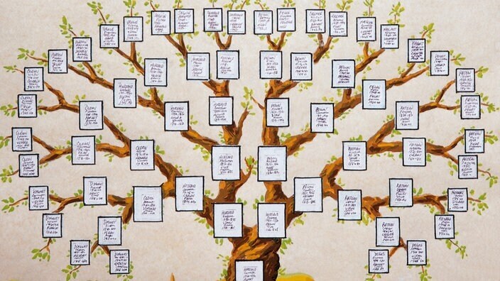 Семья: Генеалогия