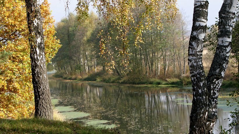 Лесные тропы, святой источник и усадьбы: куда отправиться в поход по Подмосковью