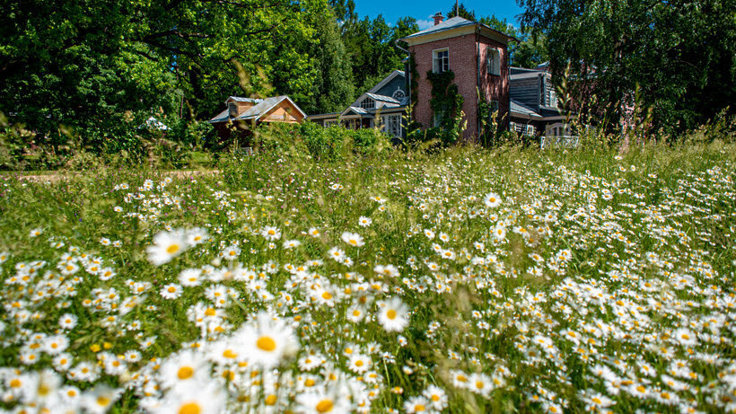 Лесные тропы, святой источник и усадьбы: куда отправиться в поход по Подмосковью