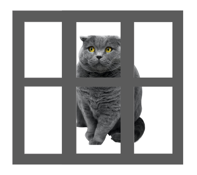 Кот был успешно арестован