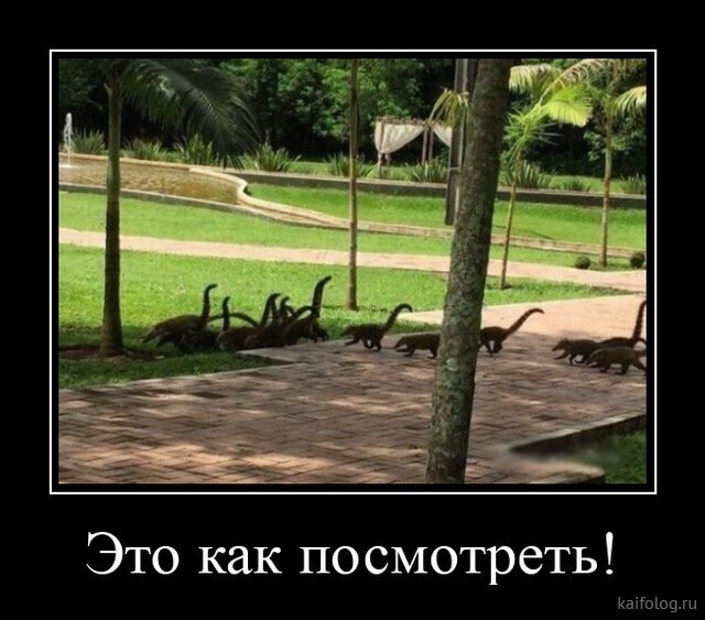 Весёлые картинки (часть 44)