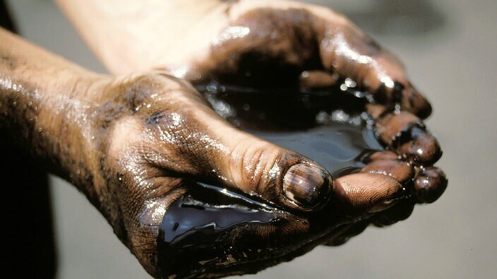 Это интересно! Как возникла нефть?