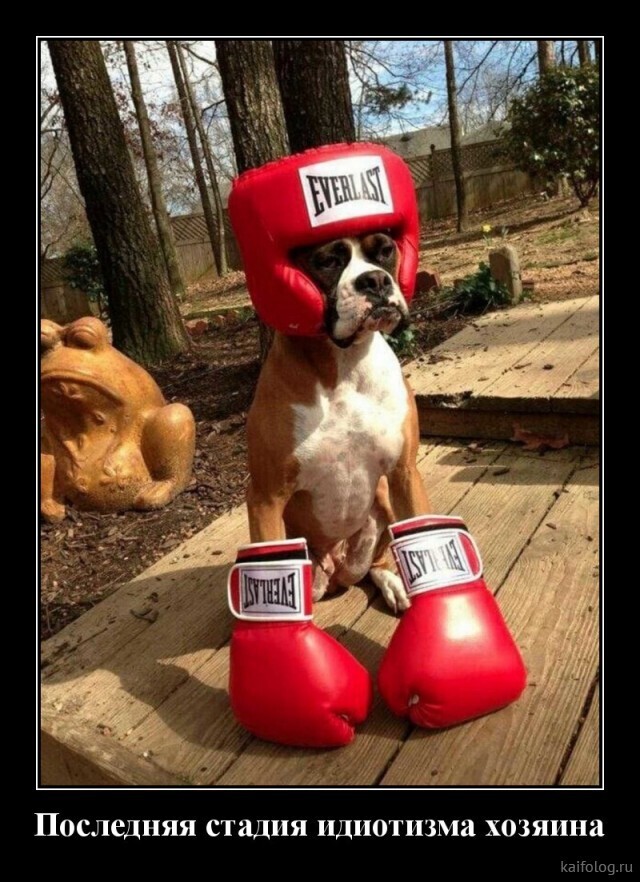 Весёлые картинки (часть 44)