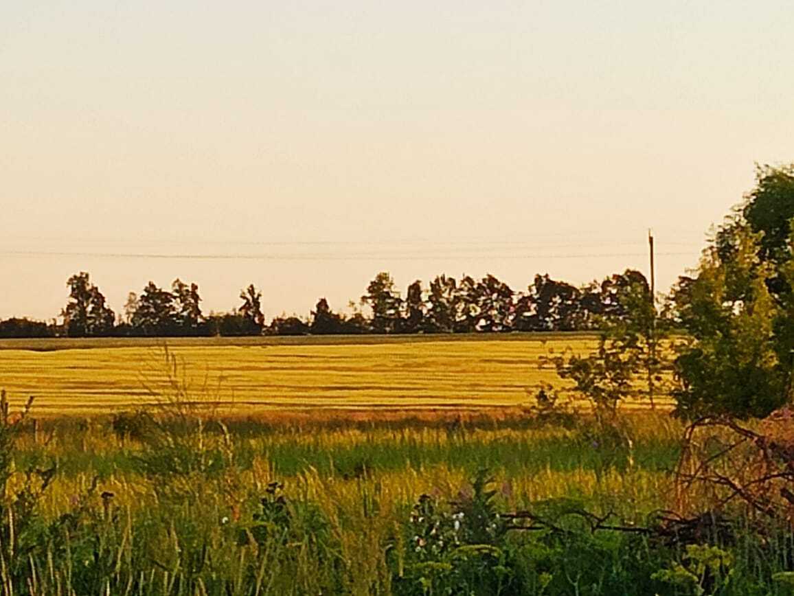 Проводите ли время на своей даче?