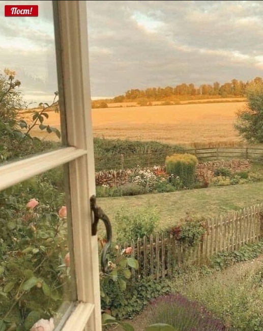 Фотография или живопись? Сможете отличить?