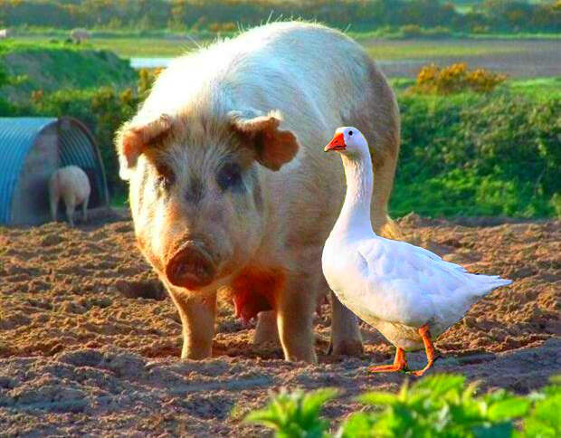 9 признаков того, что ваш муж или партнёр вам не подходит