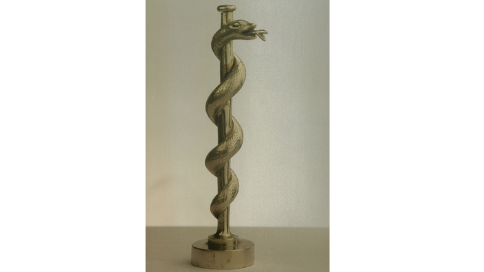 Мистика змей : у змей много лиц