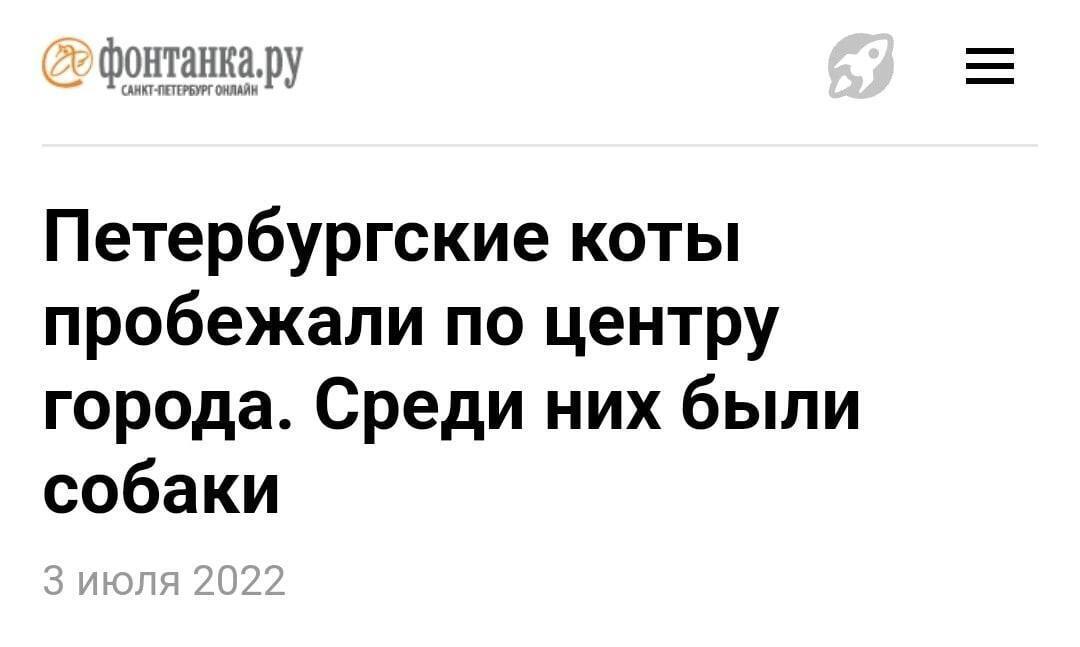 «Фонтанка» перегрелась (юмор)