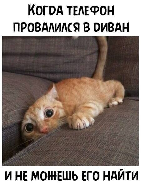 Утренний анекдот