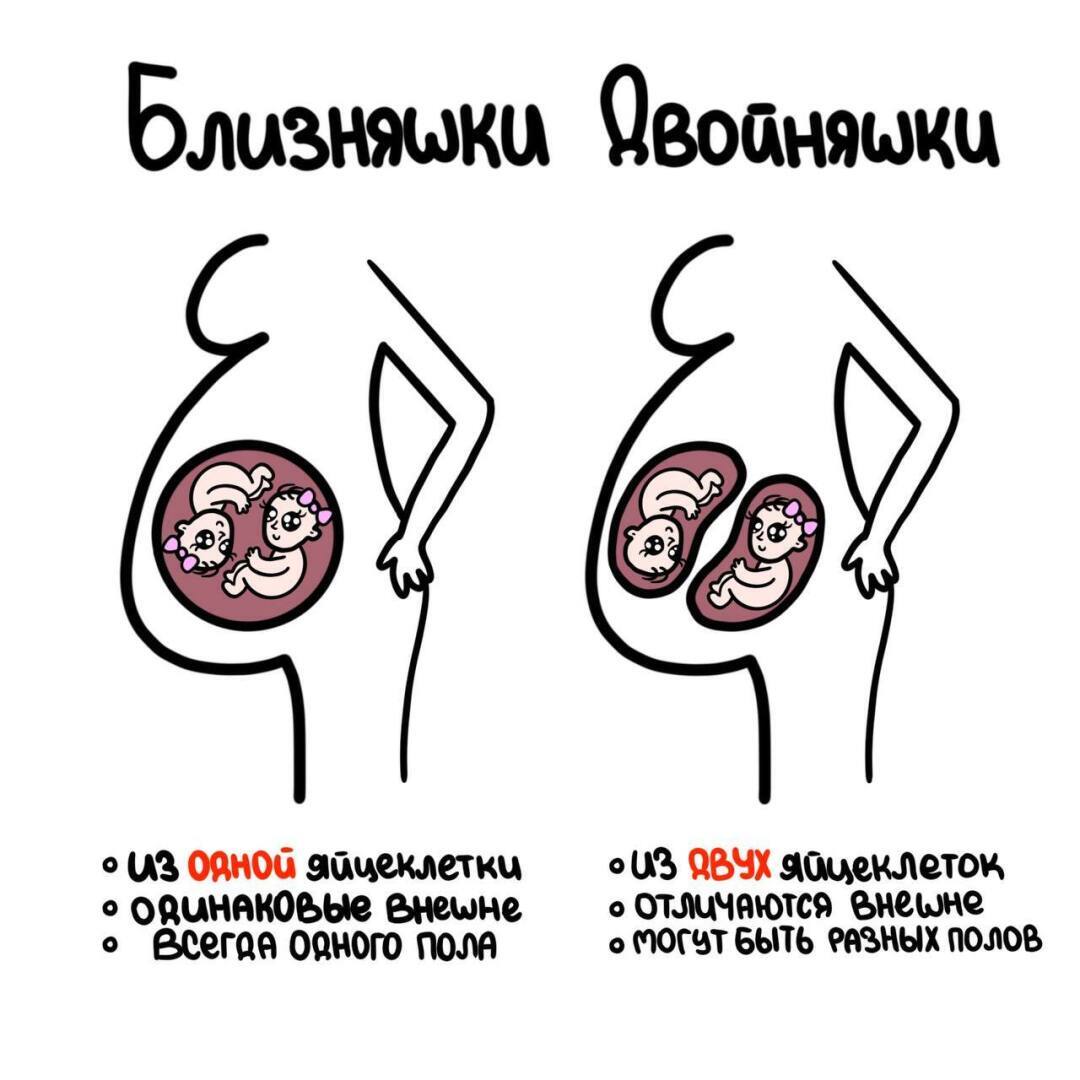 Самые интересные факты доступным языком.