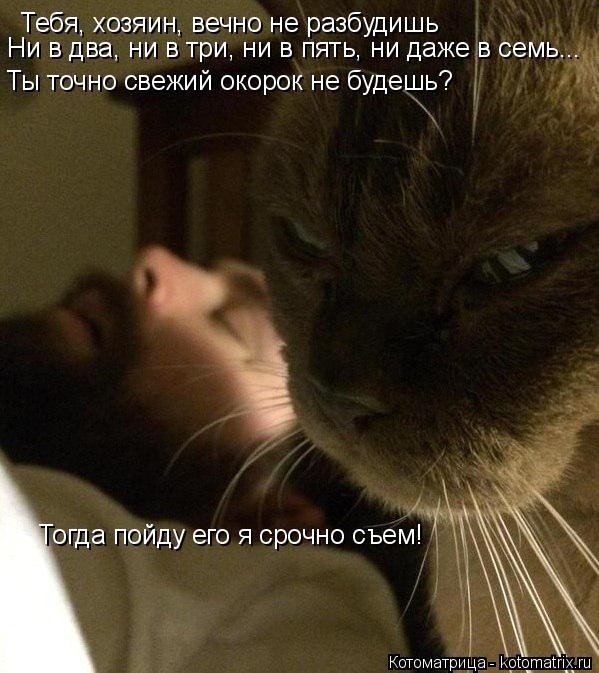 Наши любимые "хвостики"