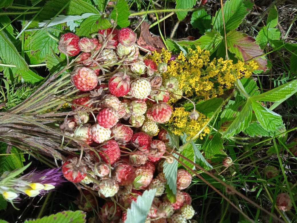 Земляничный букет для любимых