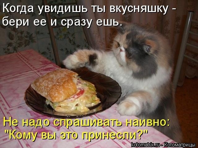 Наши любимые "хвостики"