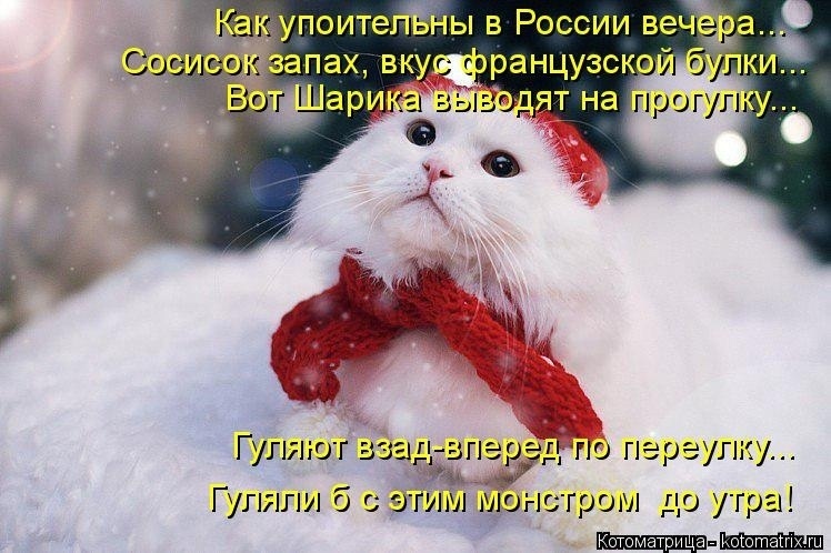 Наши любимые "хвостики"