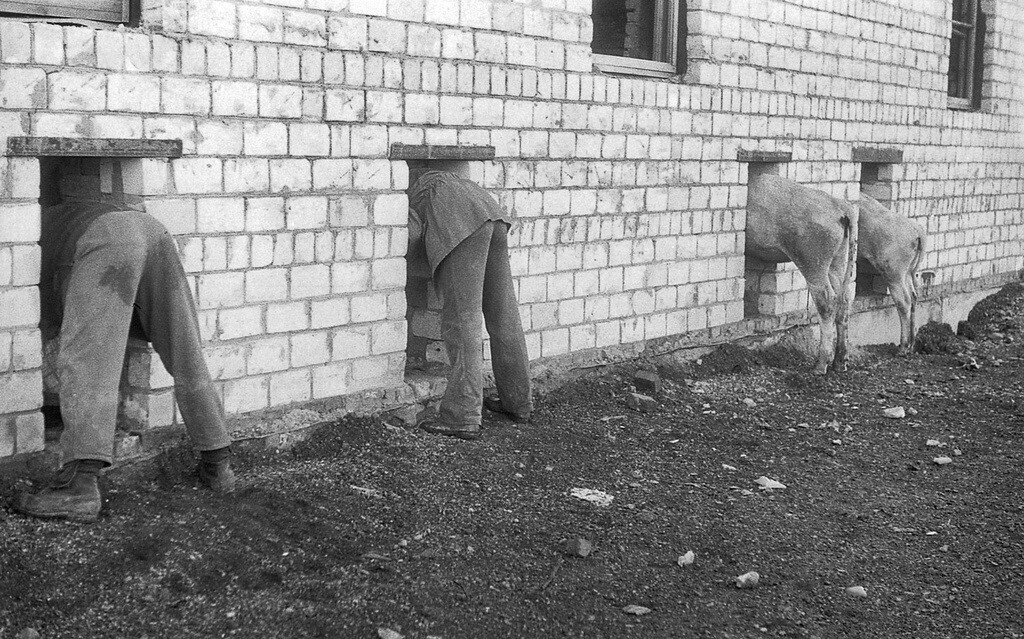 Что за фото на экране ? Ваши первые мысли об увиденном! Что бы это значило?