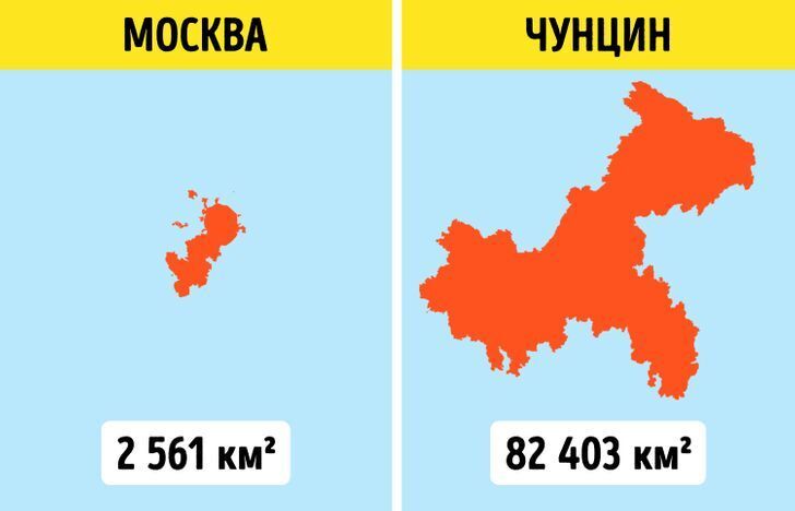 Как с ними воевать?..