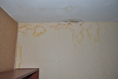 Юристы компании Р.Групп выиграли в Москве дело о заливе салона антиквариата в Санкт-Петербурге