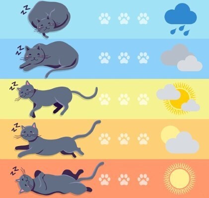 В первой половине середины лета – два «подарка космической погоды»