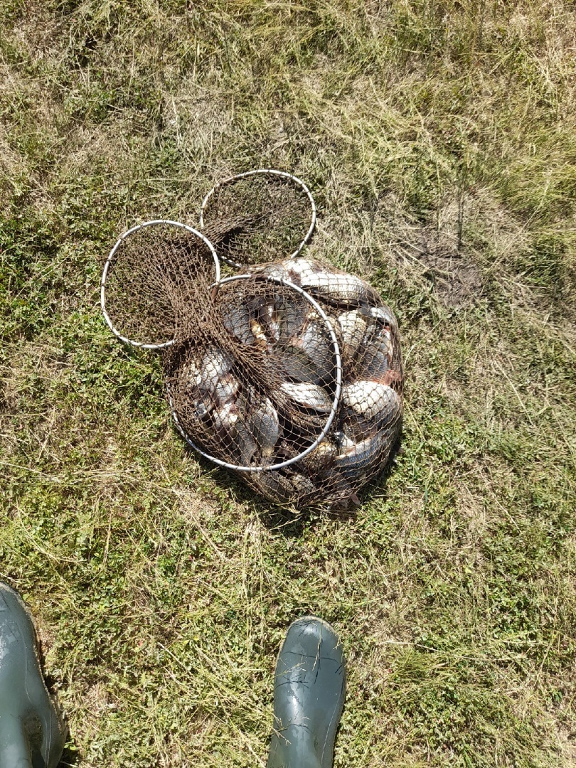 Моя первая рыбалка в этом году. Хоть рыба и невелика,но море эмоций