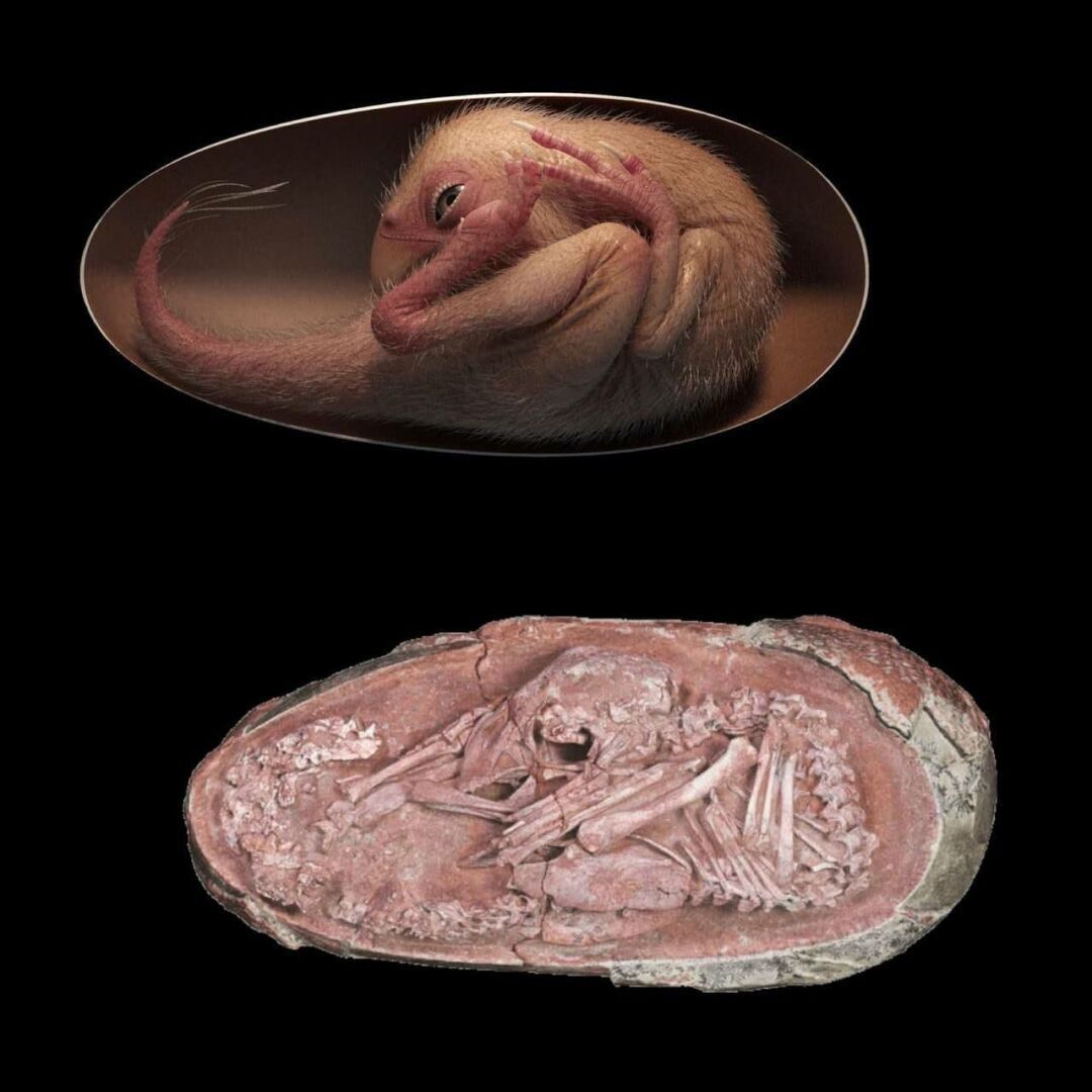 Интересные факты, которые Вам будут интересны ( пятая часть )