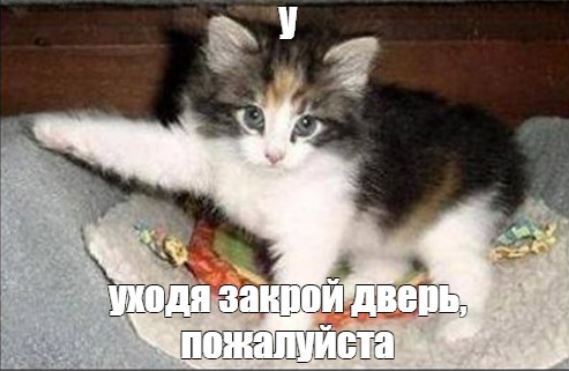 В случае развода, кто должен уйти из совместно нажитого жилья?