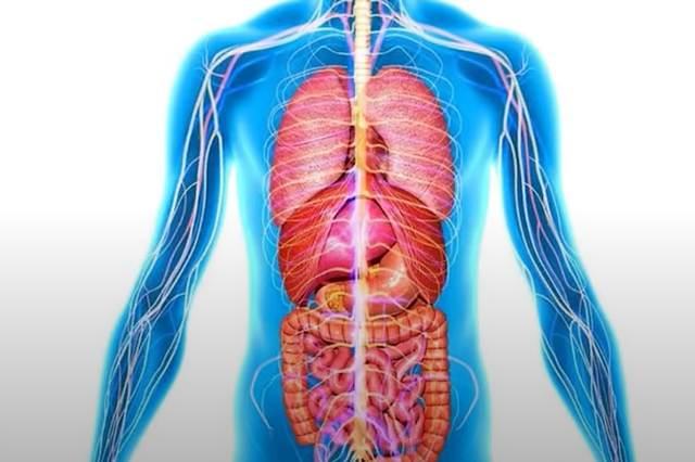 Сложные вопросы для тех, кому ранние тесты казались детскими.