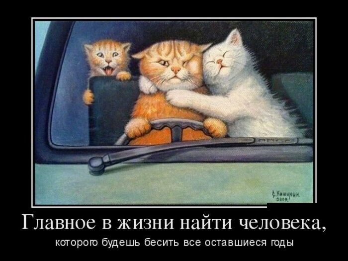 Весёлые картинки про семью