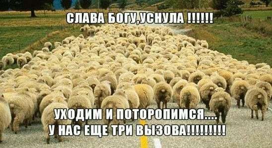 Сложно улыбаться, когда кажется, что весь мир сошел с ума...