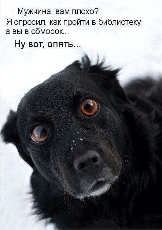 Сложно улыбаться, когда кажется, что весь мир сошел с ума...