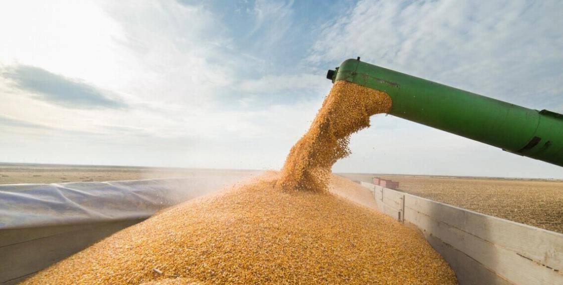 Зерно вывозят из Украины