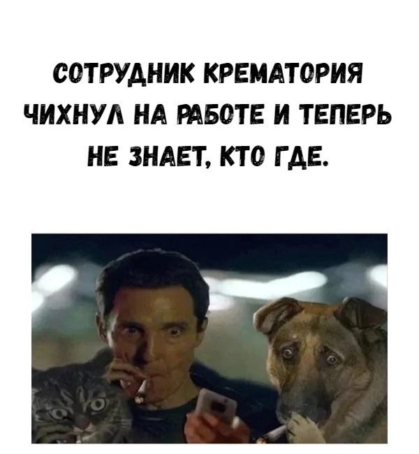 Сложно улыбаться, когда кажется, что весь мир сошел с ума...