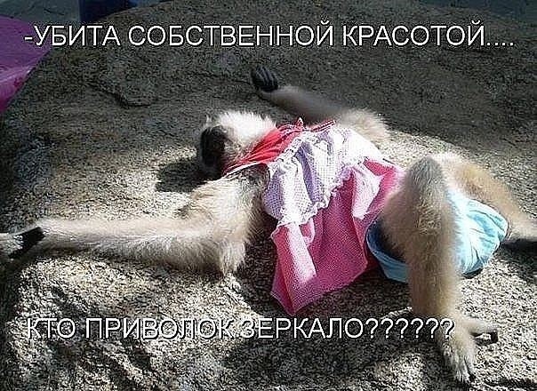 Сложно улыбаться, когда кажется, что весь мир сошел с ума...