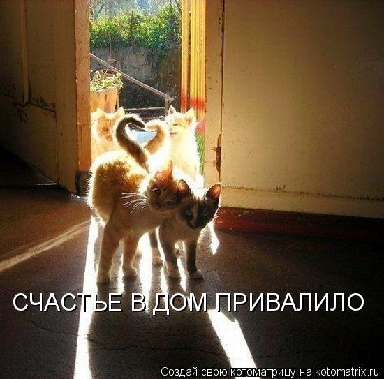 Говорят, что любовь и счастье нельзя потрогать руками...