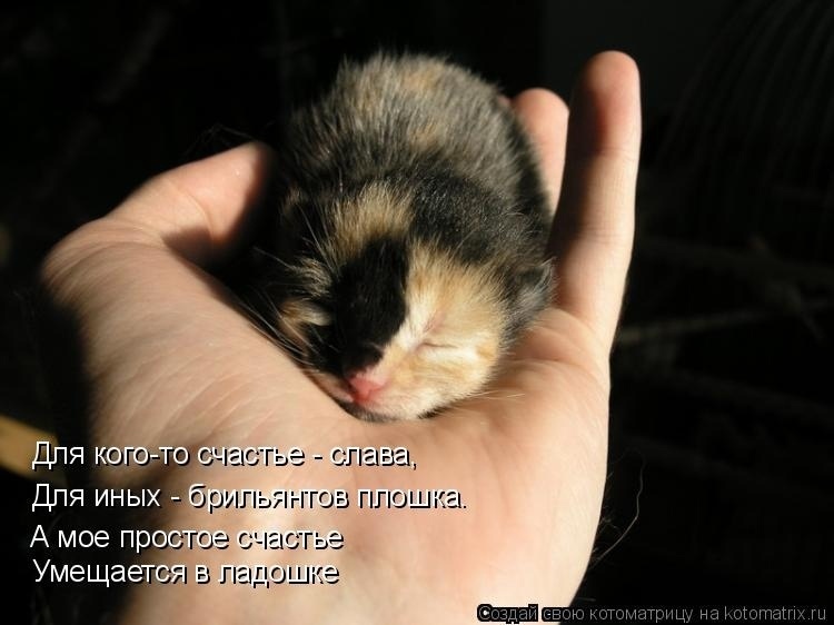 Говорят, что любовь и счастье нельзя потрогать руками...