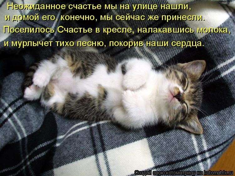 Говорят, что любовь и счастье нельзя потрогать руками...