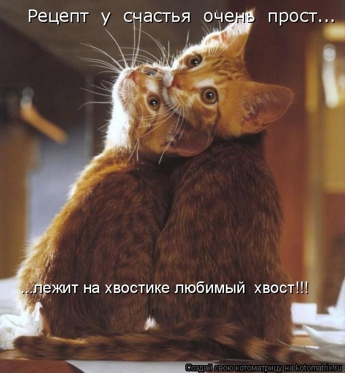 Говорят, что любовь и счастье нельзя потрогать руками...