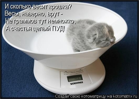 Говорят, что любовь и счастье нельзя потрогать руками...