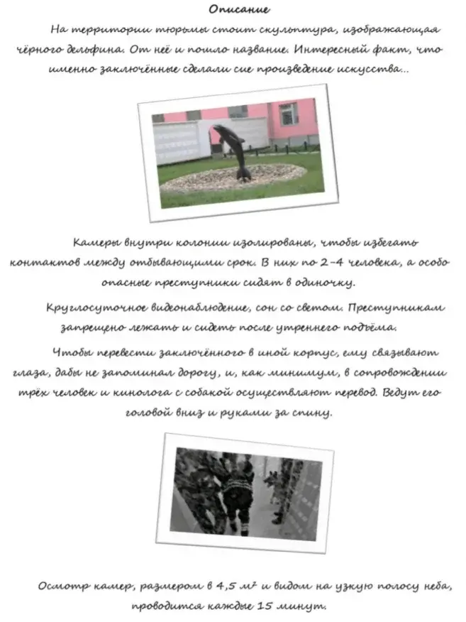 История колонии ЧЕРНЫЙ ДЕЛЬФИН, расписание и быт.