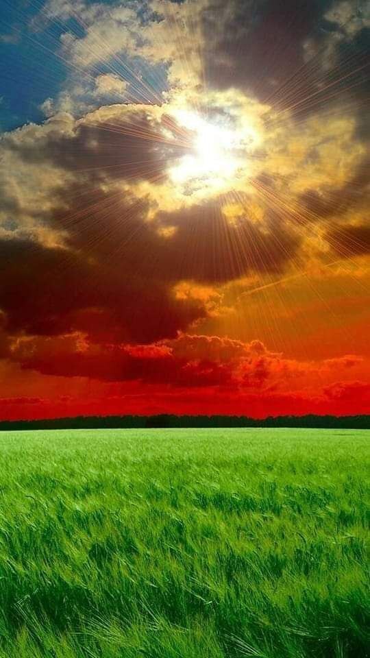 Думаю и записываю мысли (часть вторая)